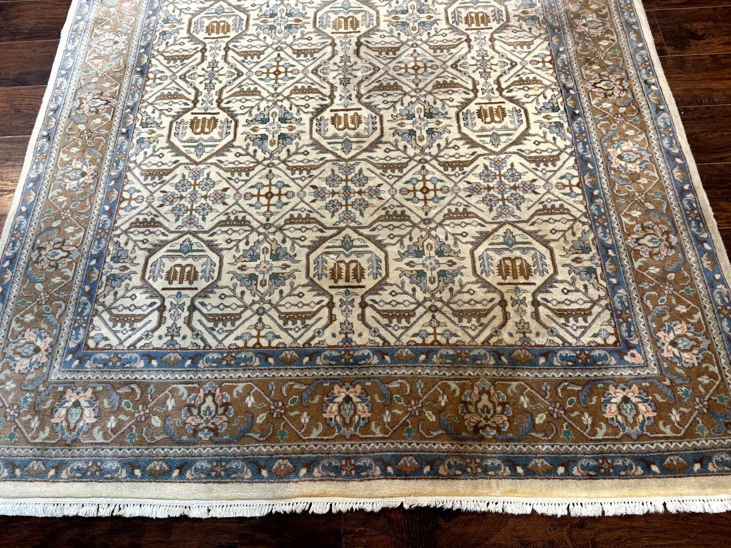 Indo Persian Rug 6x9 Beige Vintage Hand Knotted Wool Oriental Carpet