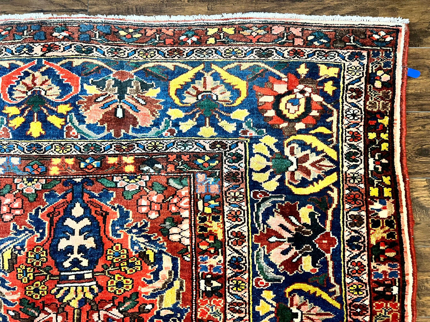 Persian Bakhtiari Rug 10x14 Hand Knotted Rare Tribal Carpet Red Blue Ivory Multicolor