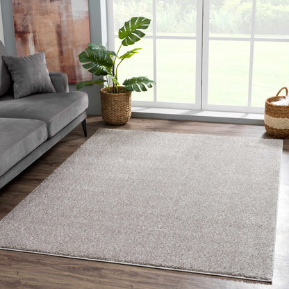 Gray Shag Rug - Washable Judy Collection for Cozy Home Decor