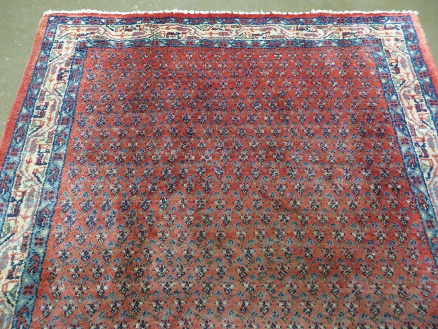 Persian wool rug