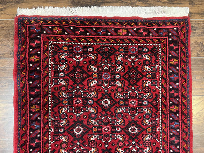 Persian Runner Rug 3x16 Wool Handmade Antique Hamadan Oriental Hallway Rug