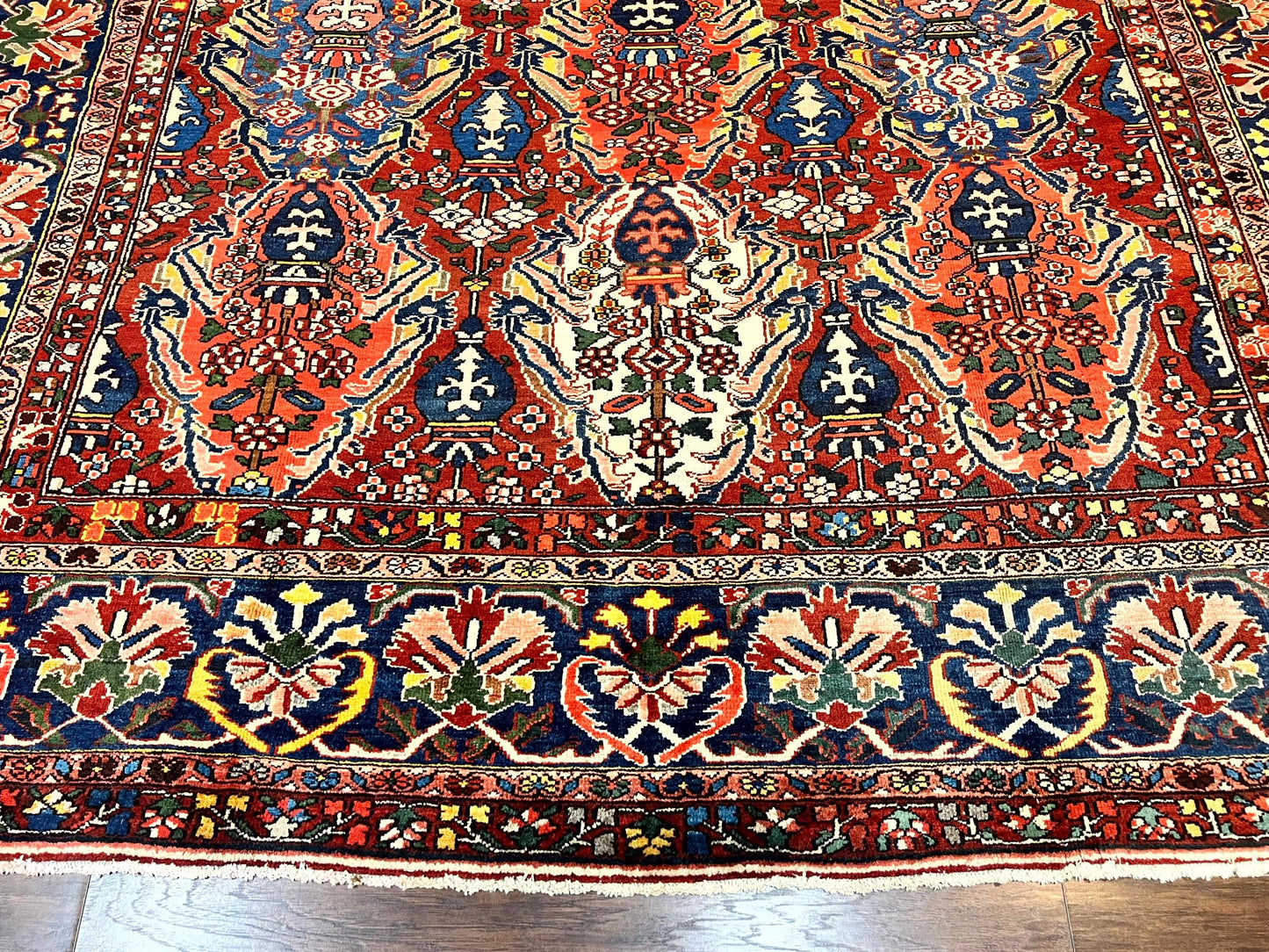 Persian Bakhtiari Rug 10x14 Hand Knotted Rare Tribal Carpet Red Blue Ivory Multicolor