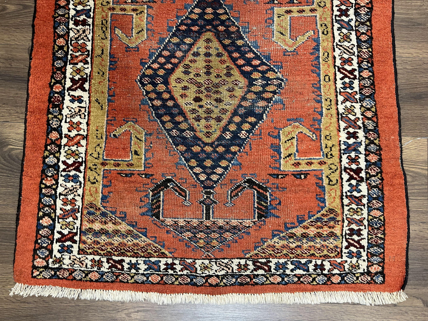 Persian Runner Rug 3x11 Hand Knotted Rare Tribal Wool Oriental Geometric Medallions