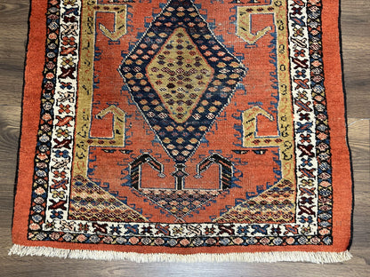 Persian Runner Rug 3x11 Hand Knotted Rare Tribal Wool Oriental Geometric Medallions