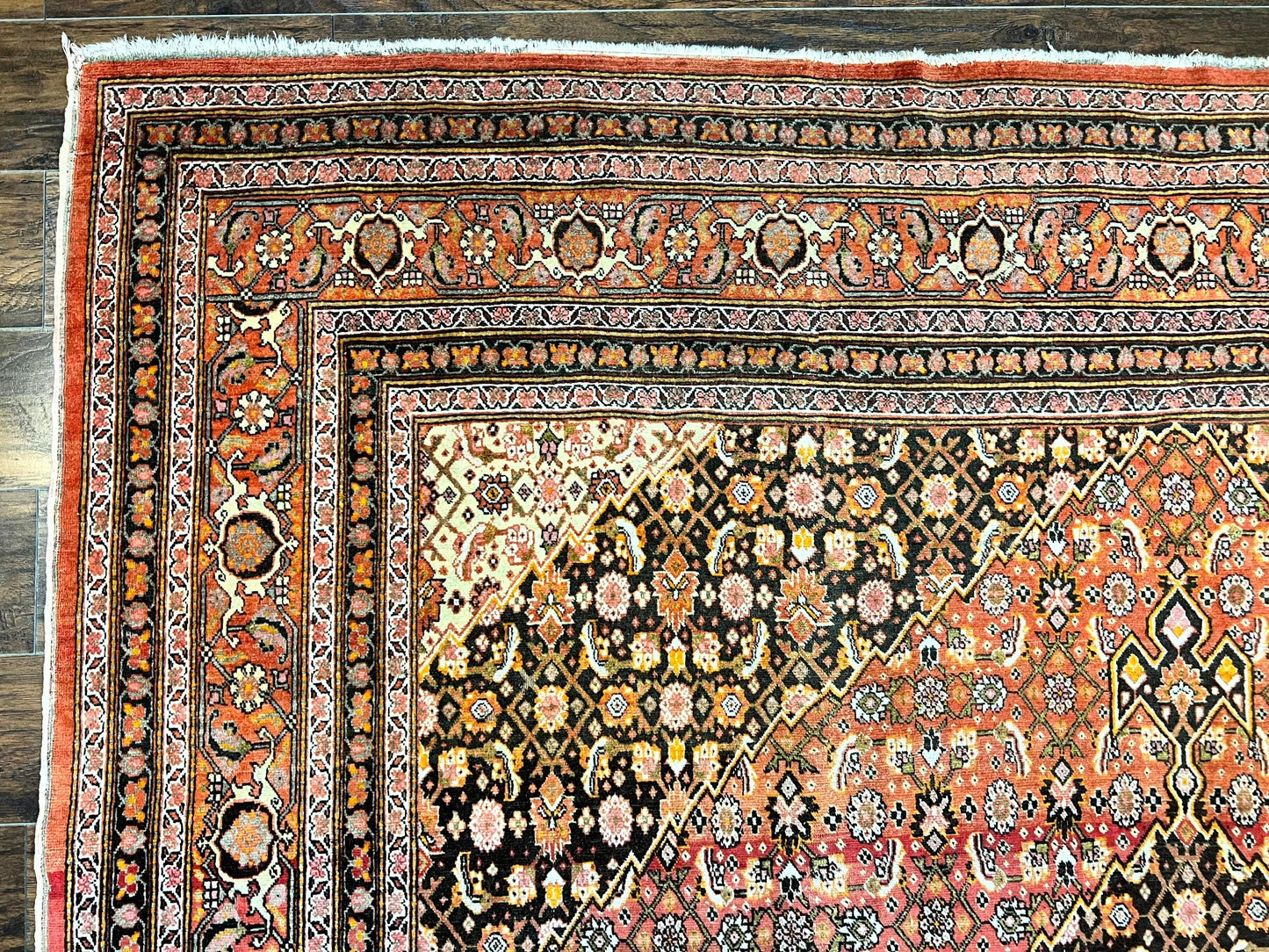 Rare Antique Persian Tabriz Rug 9x12 Handmade Wool Red Herati Pattern