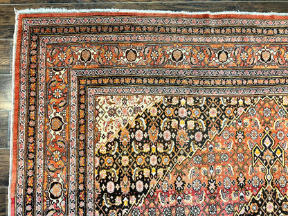 Rare Antique Persian Tabriz Rug 9x12 Handmade Wool Red Herati Pattern