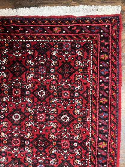 Persian Runner Rug 3x16 Wool Handmade Antique Hamadan Oriental Hallway Rug