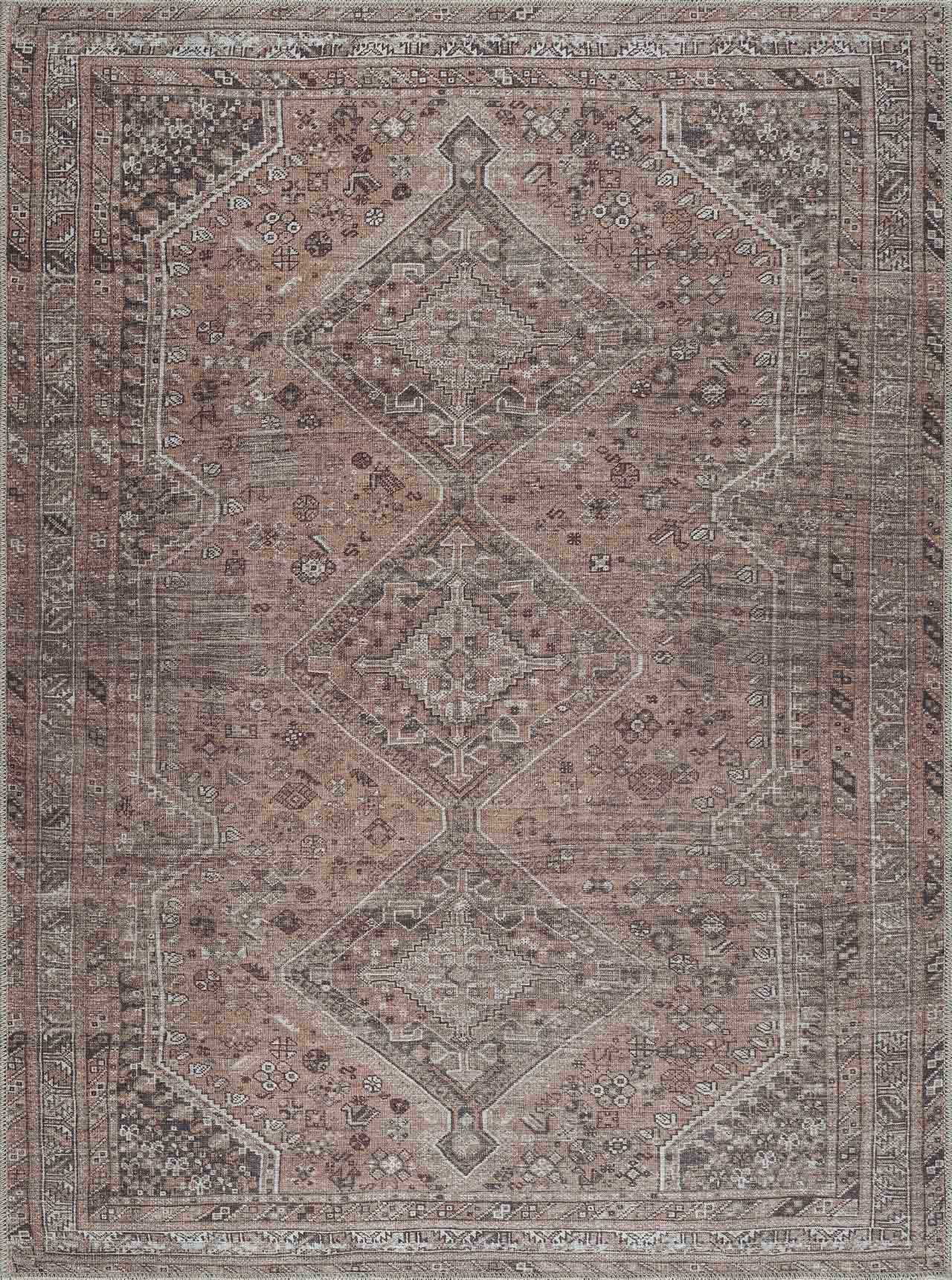 Barny Brown area rug