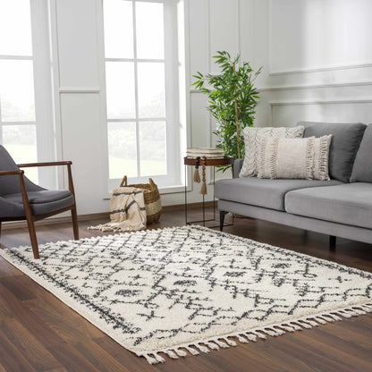 Godalming Plush Area Rug - Soft Cozy Stylish Decor