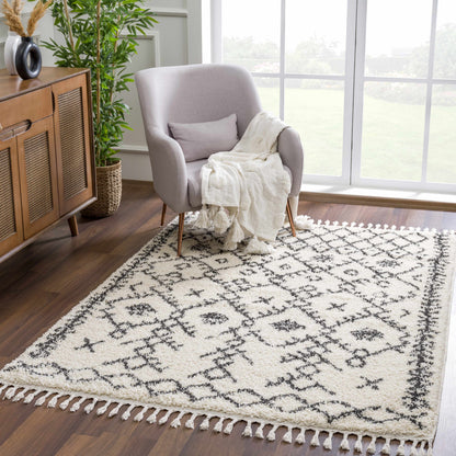 Godalming Plush Area Rug - Soft Cozy Stylish Decor