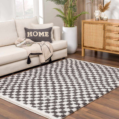 Checkered Shag Area Rug - Black and White Cozy Home Decor
