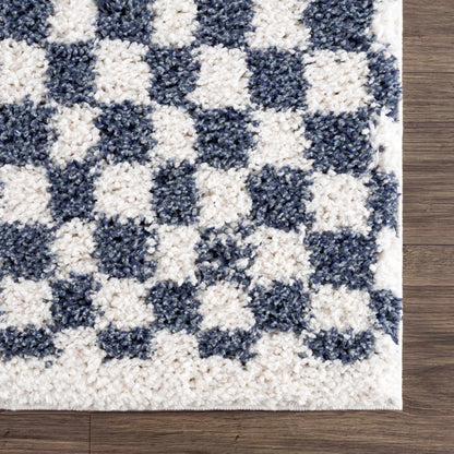 Blue White Checkered Area Rug - Stylish Home Decor Accent