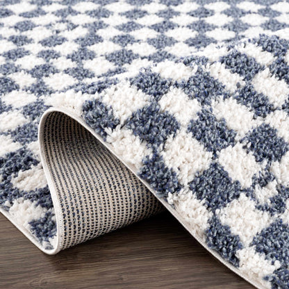 Blue White Checkered Area Rug - Stylish Home Decor Accent
