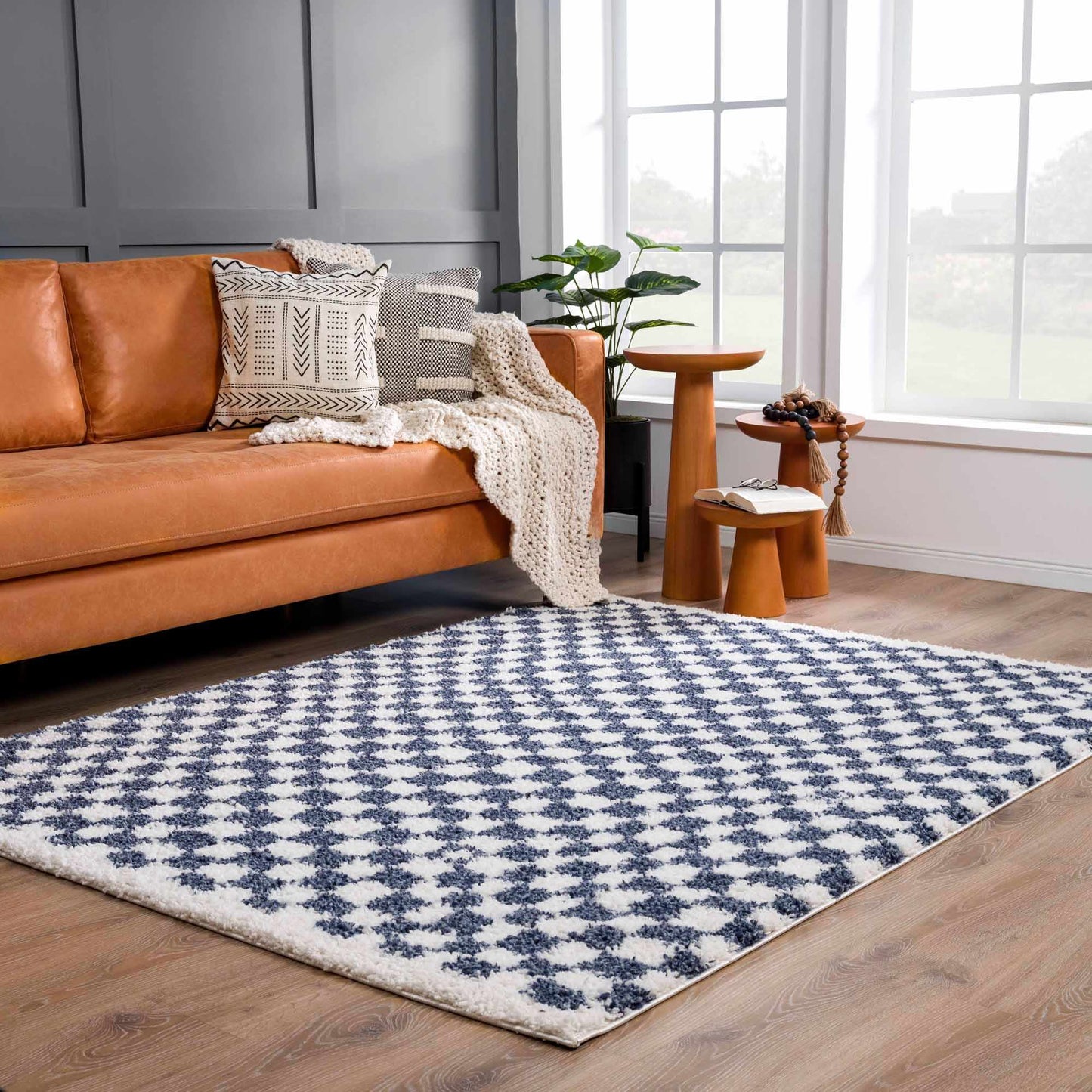 Blue White Checkered Area Rug - Stylish Home Decor Accent
