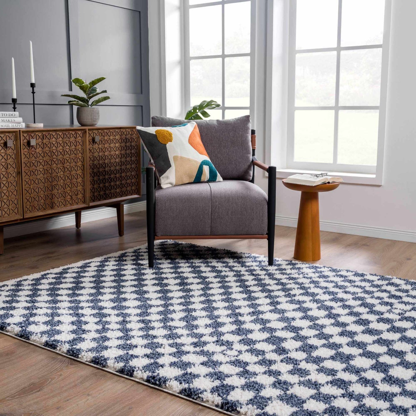 Blue White Checkered Area Rug - Stylish Home Decor Accent