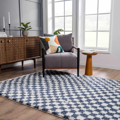Blue White Checkered Area Rug - Stylish Home Decor Accent