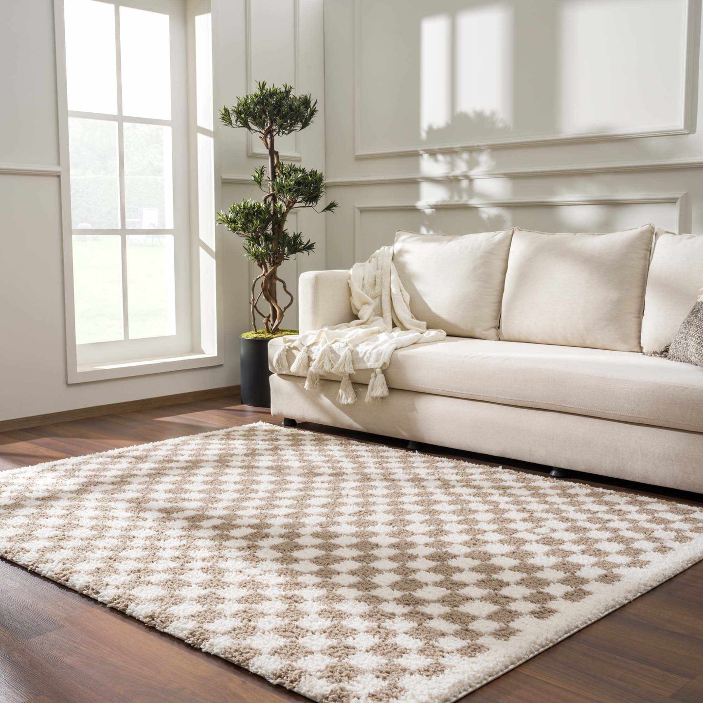 Modern area rug