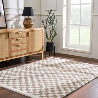 Elegant area rug