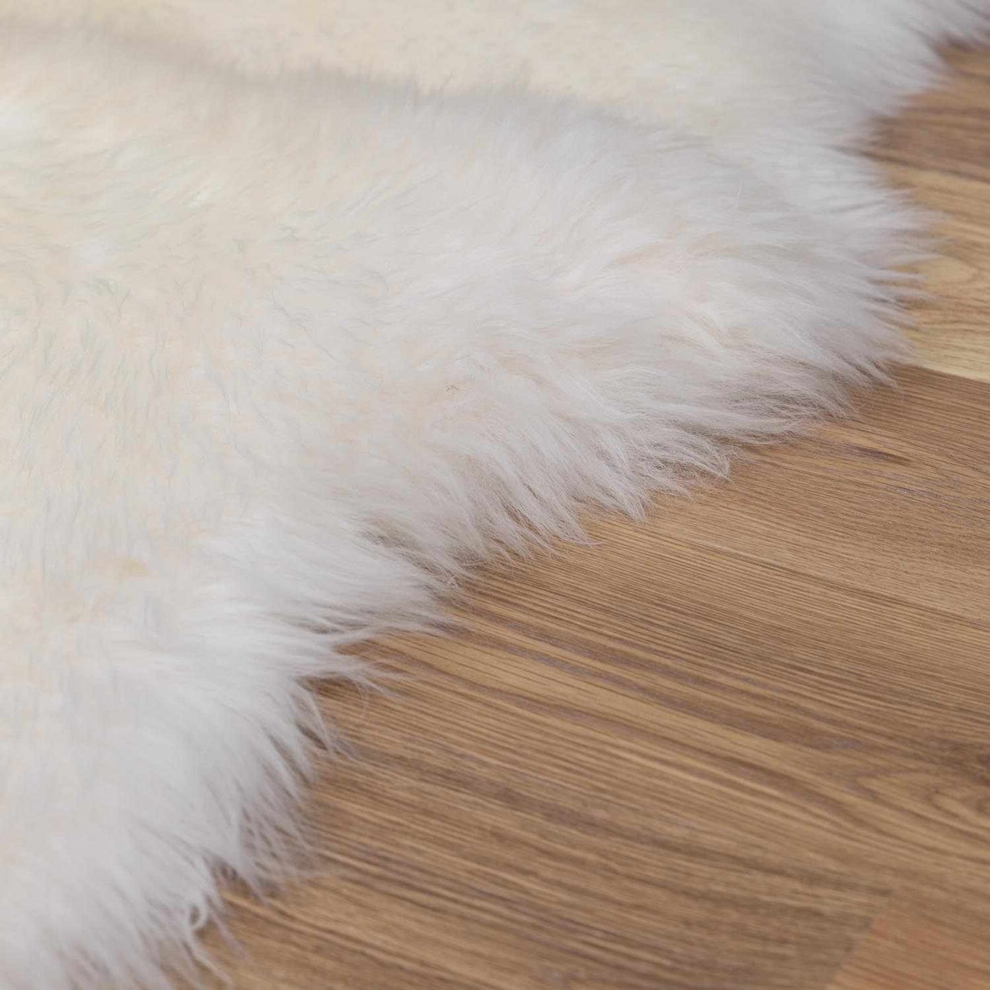 Soft White Sheepskin Rug - Premium Cozy Home Décor
