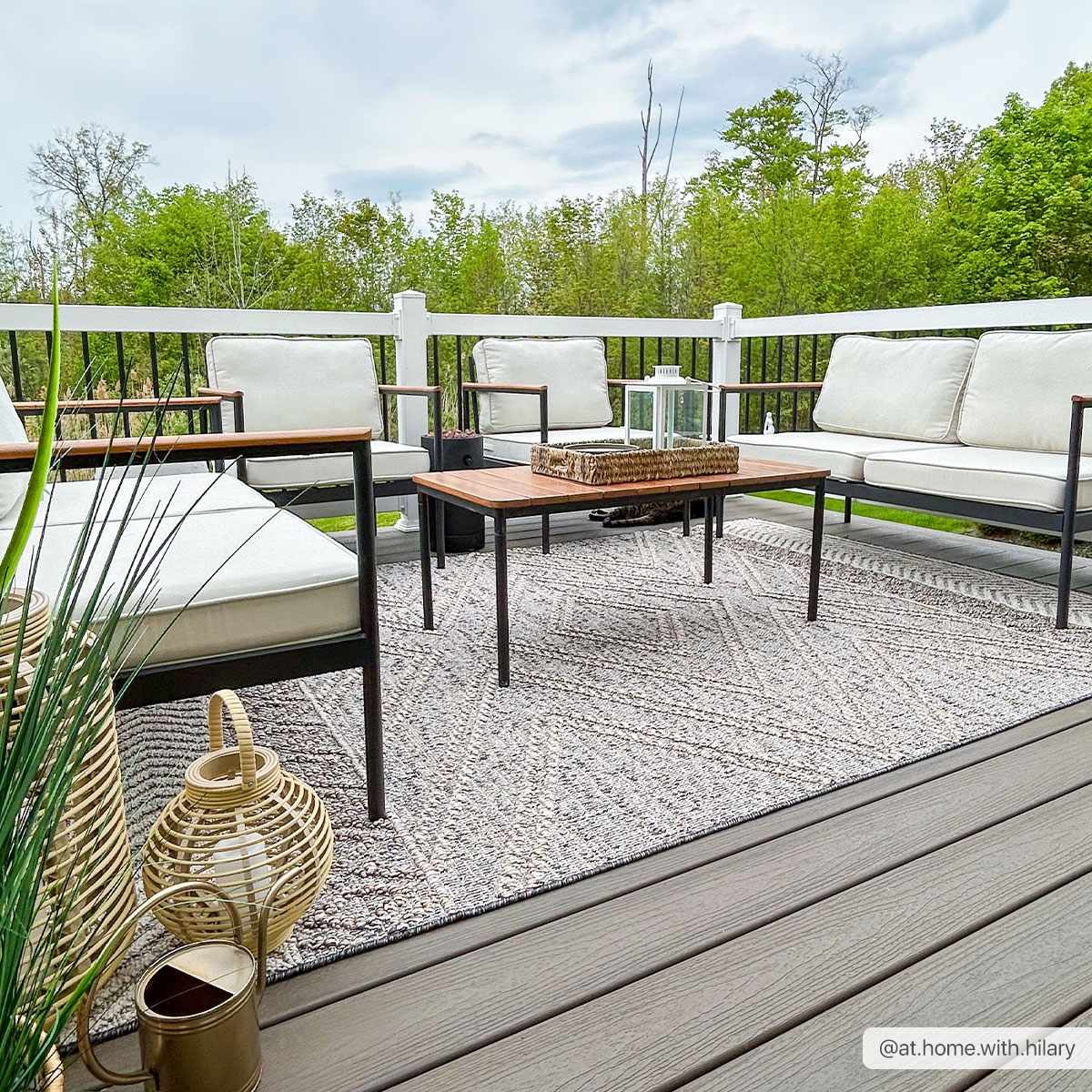 Beige charcoal Areli rug