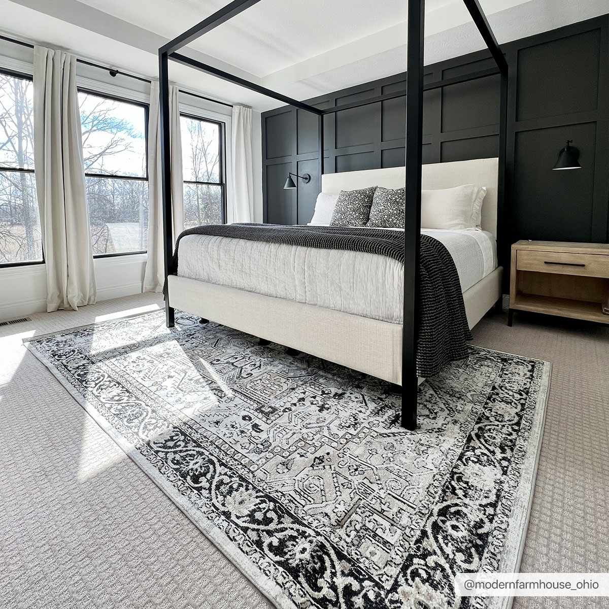 Washable Area Rug - Stylish Durable Easy Clean Rug for Any Room