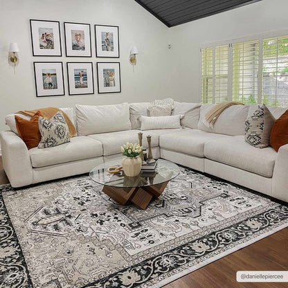 Washable Area Rug - Stylish Durable Easy Clean Rug for Any Room