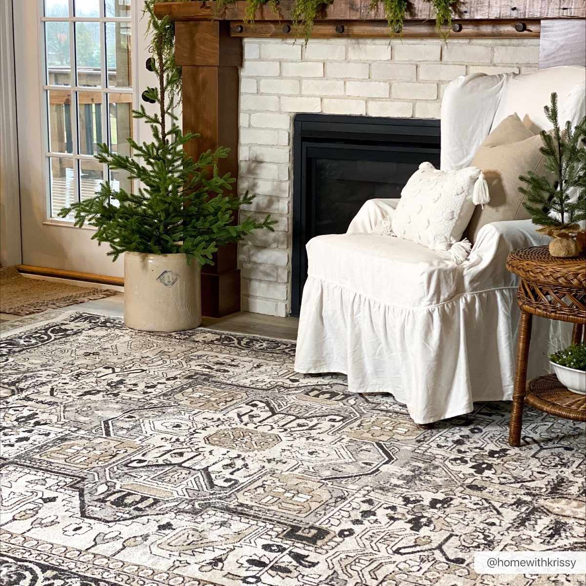 Washable Area Rug - Stylish Durable Easy Clean Rug for Any Room