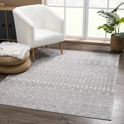 Light Gray Limited Edition Rug - Stylish Home Decor