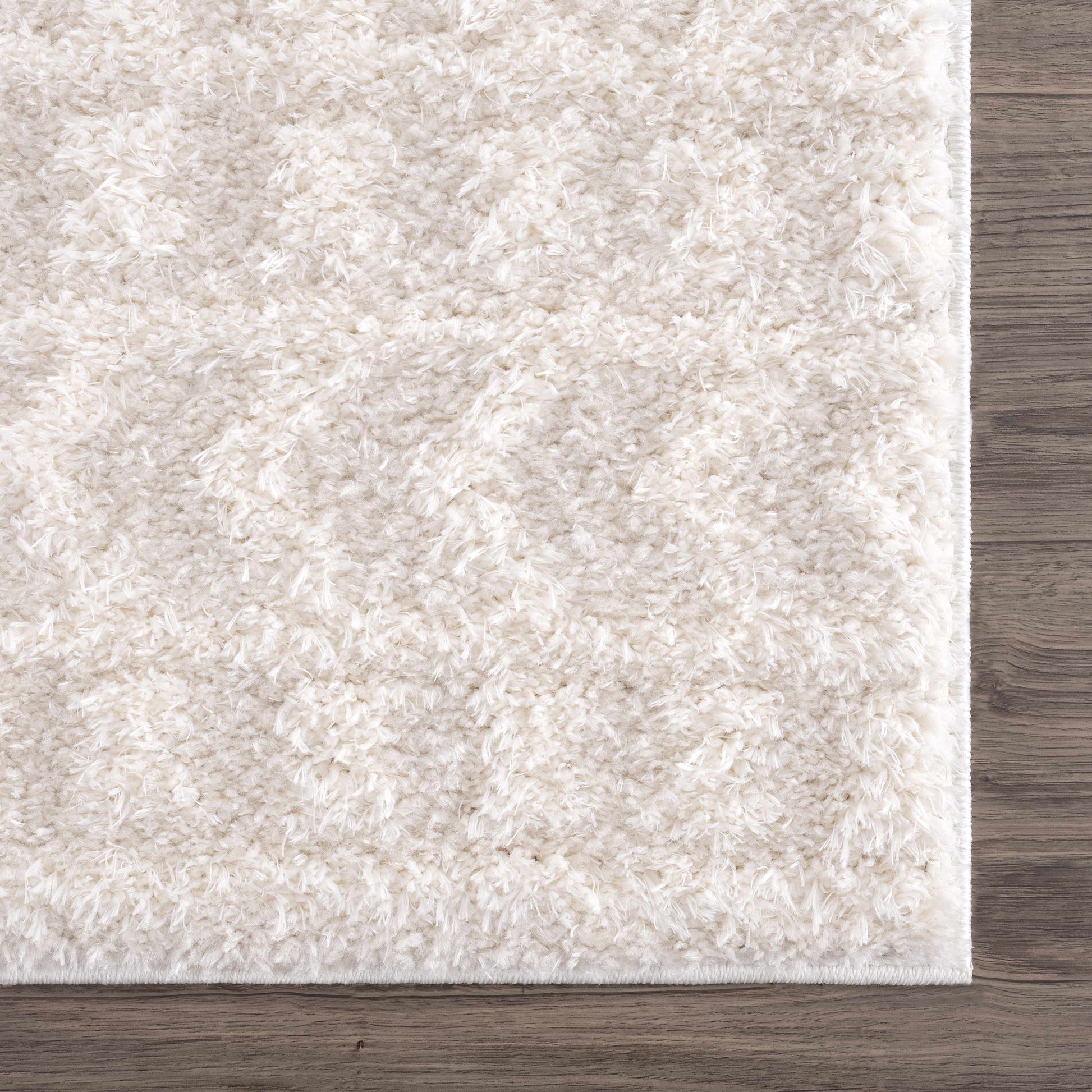 Neutral area rug