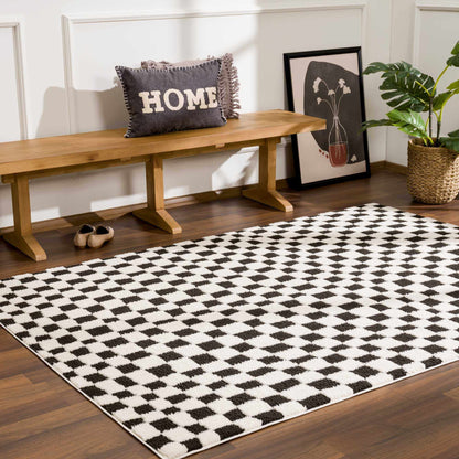 Checkered Area Rug - Stylish Black and White Geometric Floor Decor