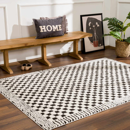 Checkered Black White Area Rug - Modern Home Decor Accent