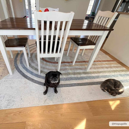 Giza Washable Area Rug - Soft Durable Home Décor for Any Room