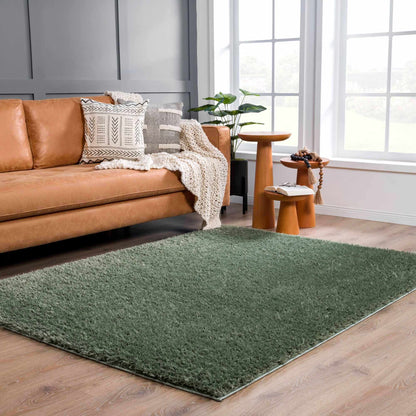 Green Shag Rug - Washable Soft Cozy Home Decor