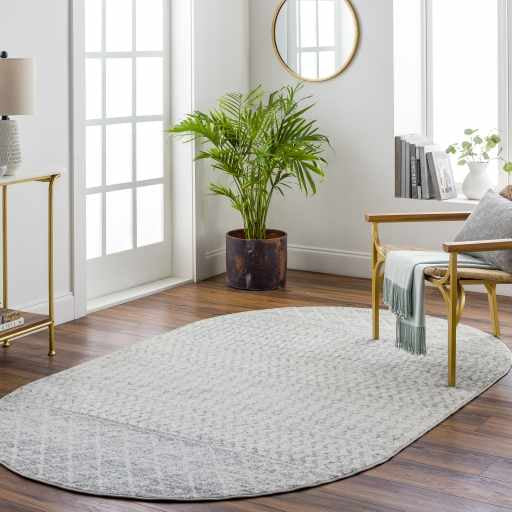 Gray Area Rug - Modern Cozy Living Room Decor