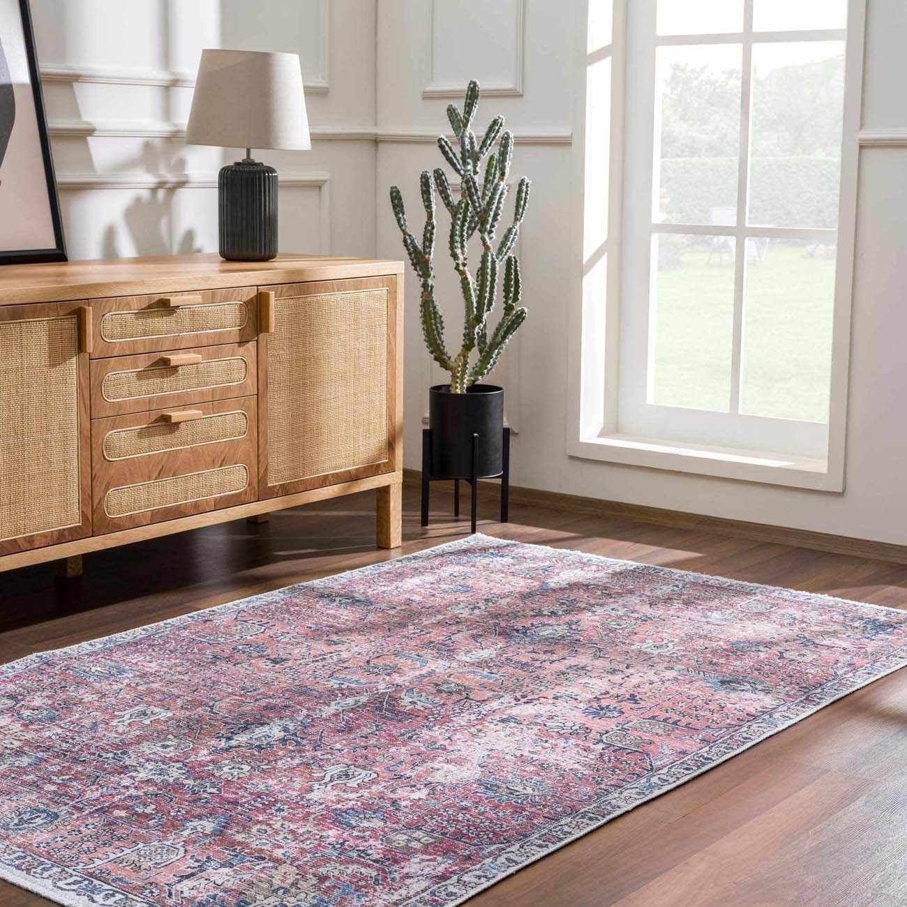 Stylish home rug