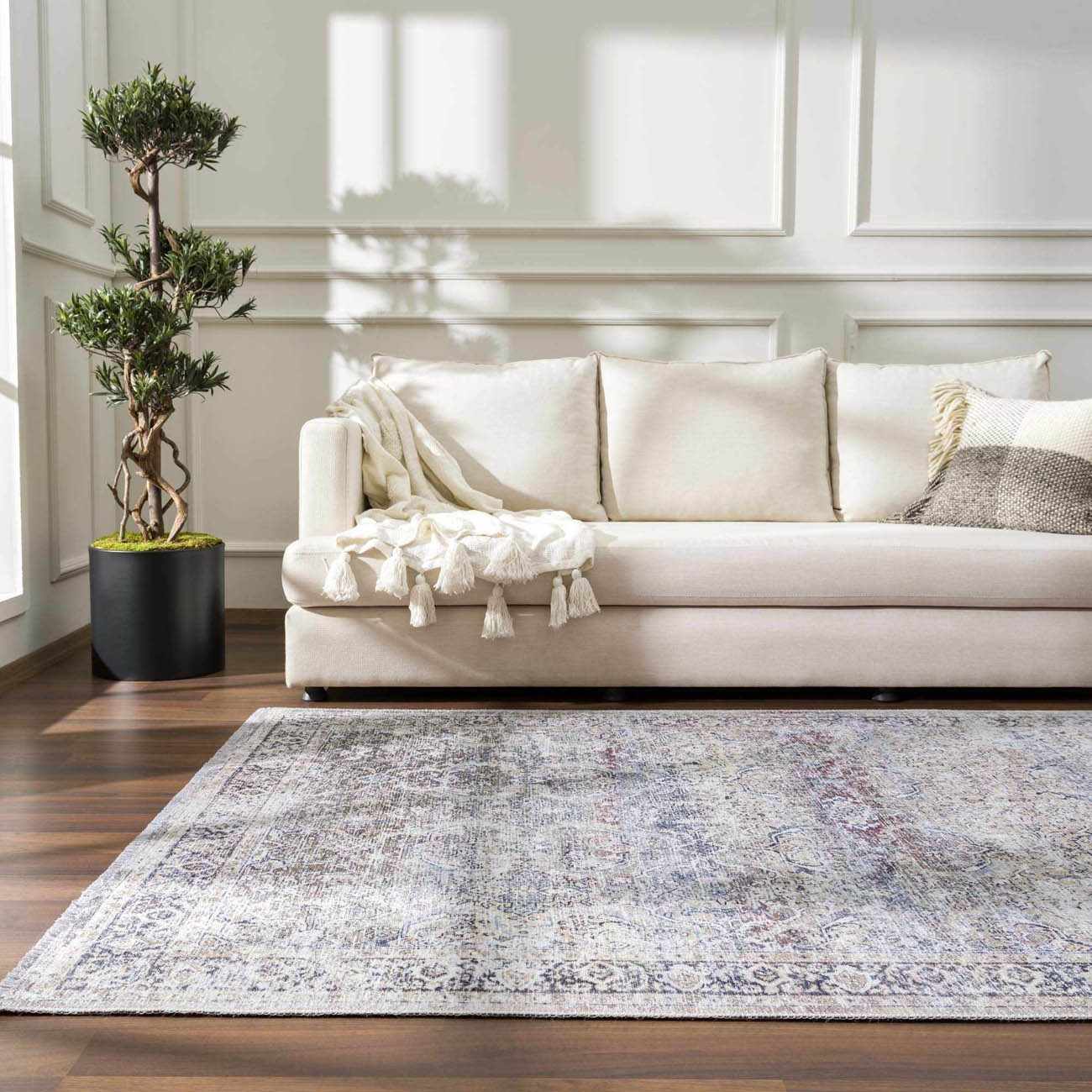 Luxury area rug 