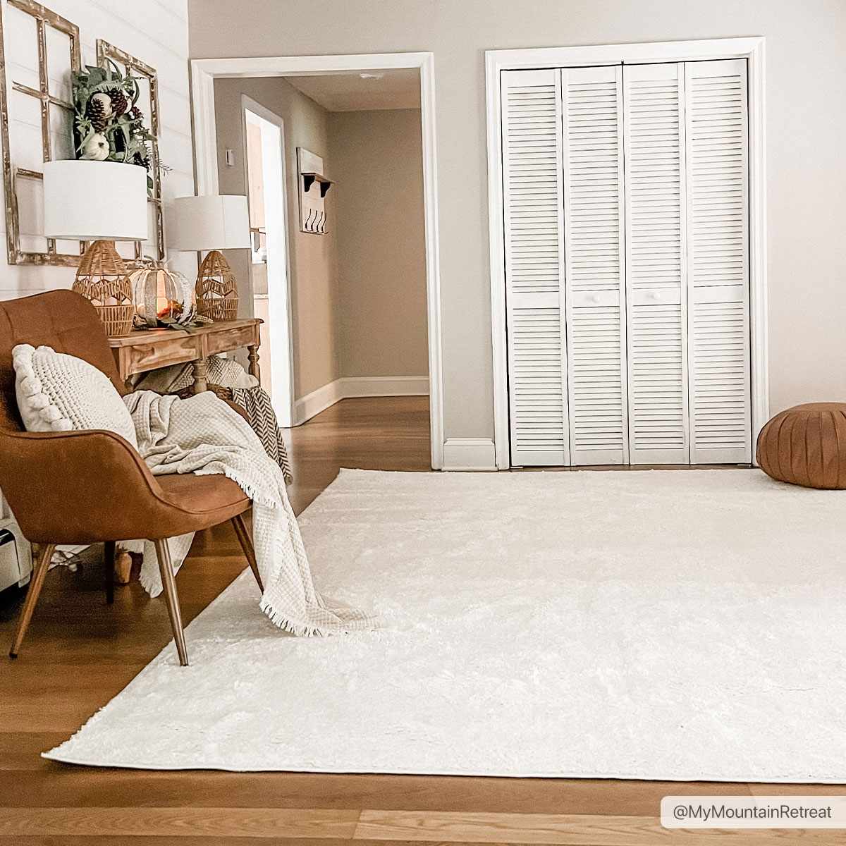 Washable Area Rug - Stylish Easy-Clean Soft Flooring Solution