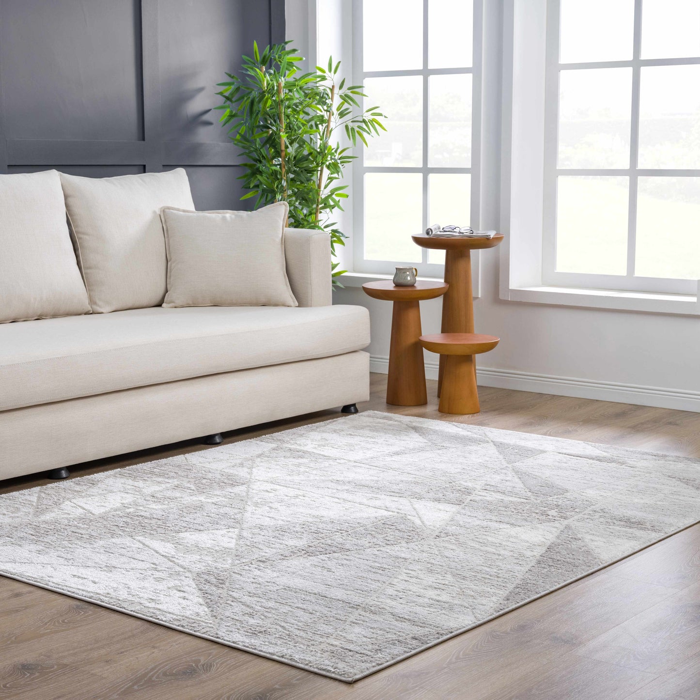 Basia Area Rug - Soft Modern Floor Covering