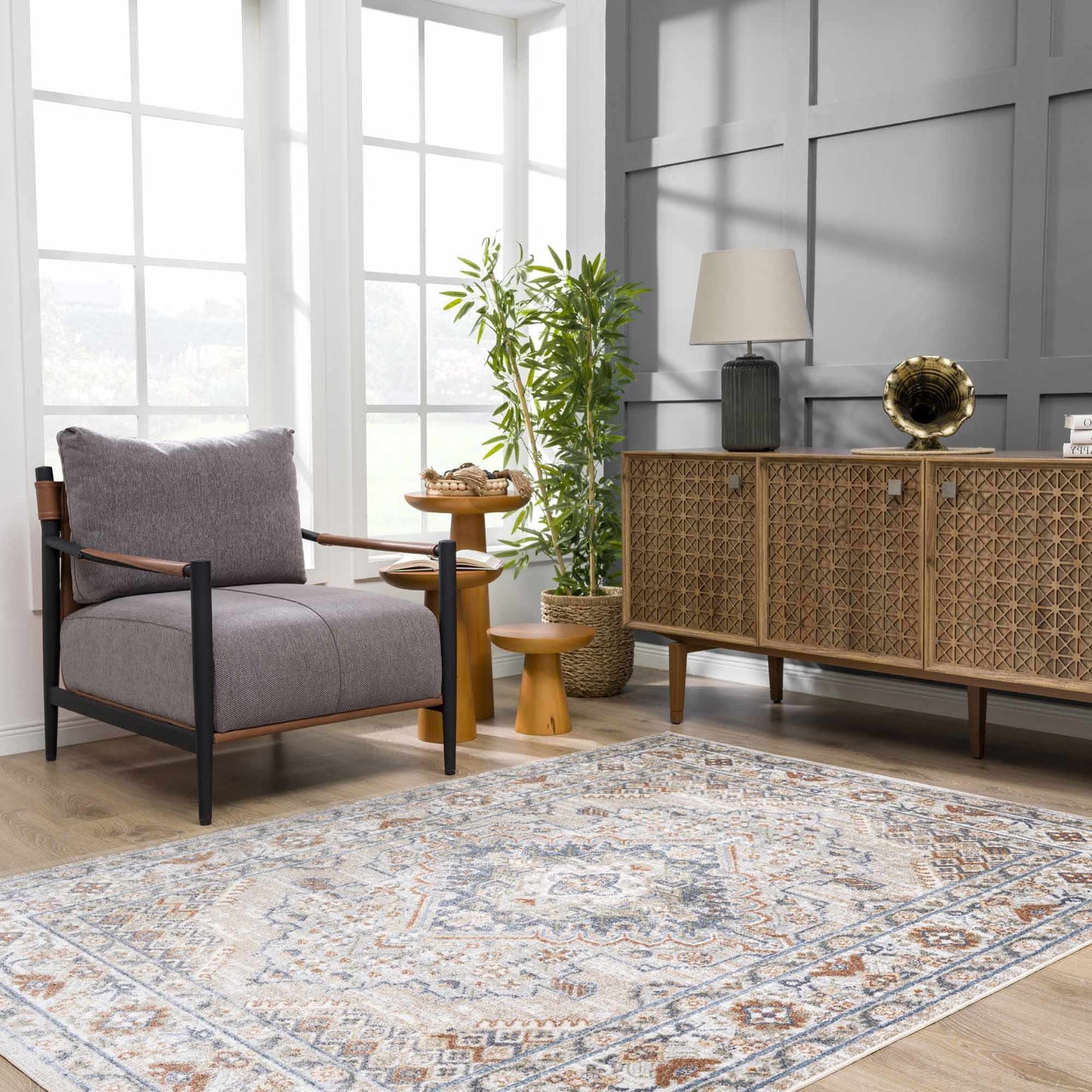 Washable Flat Pile Area Rug - Stylish  Easy to Clean