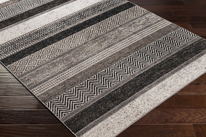 Middlestown Washable Area Rug - Stylish Durable Easy Clean Rug for Any Room