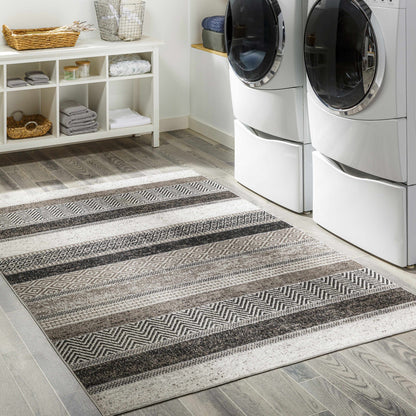 Middlestown Washable Area Rug - Stylish Durable Easy Clean Rug for Any Room