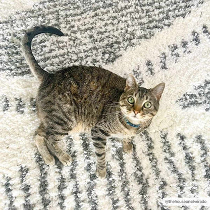 Soft Plush Area Rug - Cozy Home Décor Rug