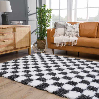 Checkered Black White Area Rug - Modern Stylish Home Decor