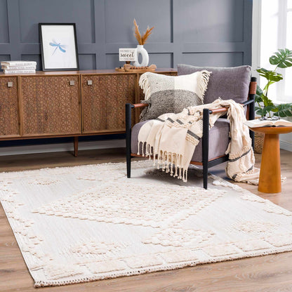 Rustic Area Rug - High-Low Design for Cozy Home Decor