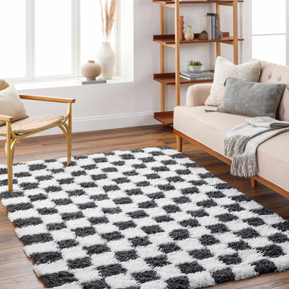 Checkered Black White Area Rug - Modern Stylish Home Decor