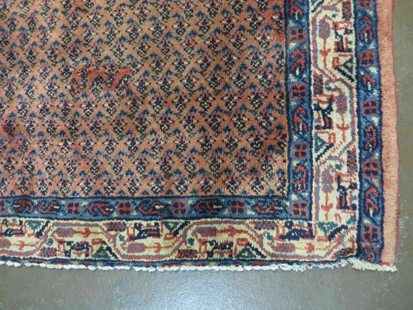 Oriental runner rug