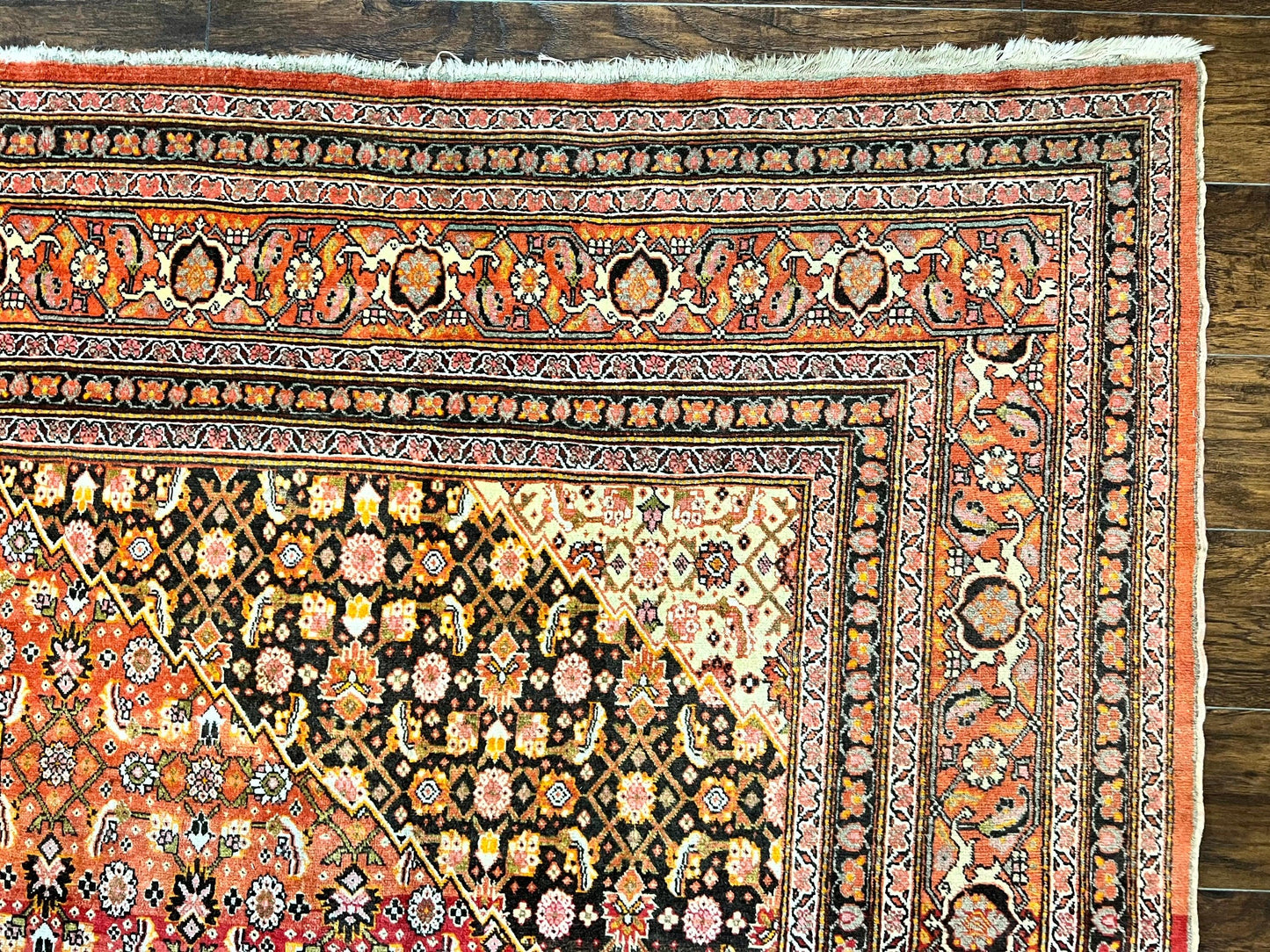 Rare Antique Persian Tabriz Rug 9x12 Handmade Wool Red Herati Pattern