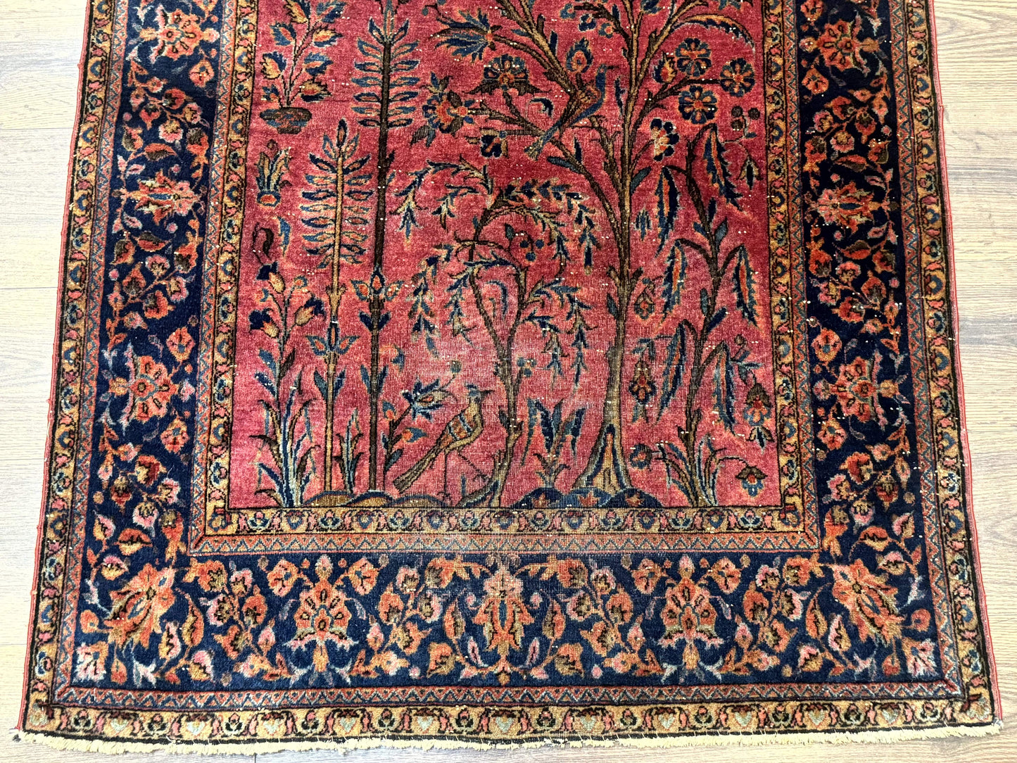 Antique Persian Tree Of Life Rug 3x5 Feet Manchester Wool With Bird Pictorials
