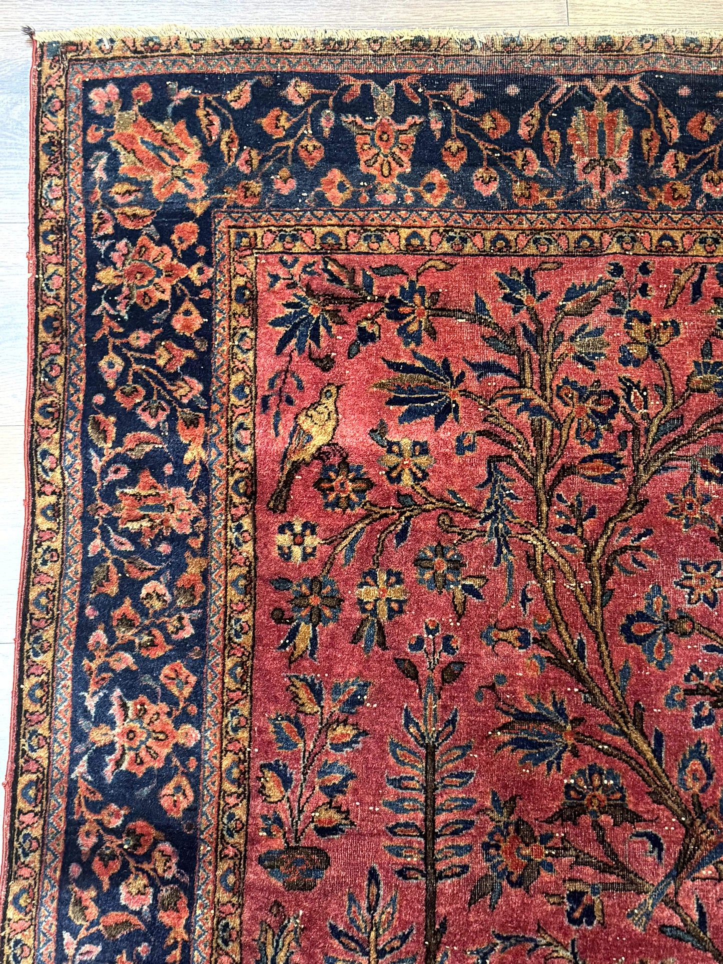 Antique Persian Tree Of Life Rug 3x5 Feet Manchester Wool With Bird Pictorials