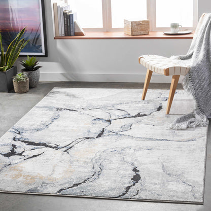 Fremantle Gray Marble Area Rug - Elegant Modern Living Room Decor